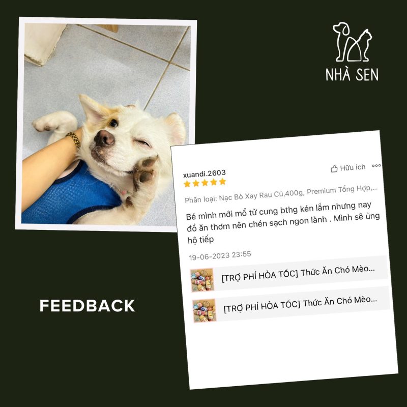 Feedback khách hàng