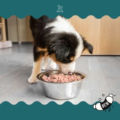 Lợi ích của thịt xay cho thú cưng