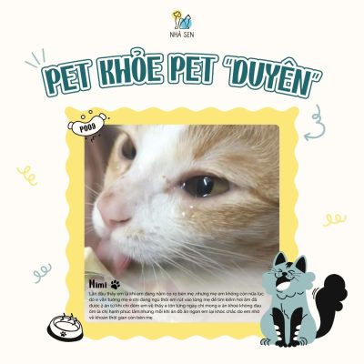 Pet khỏe, Pet duyên
