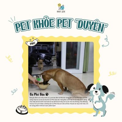 Pet khoe Pet duyen3