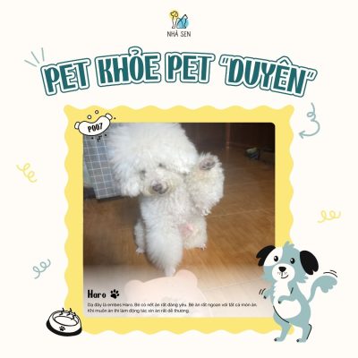 Pet khỏe, Pet duyên4