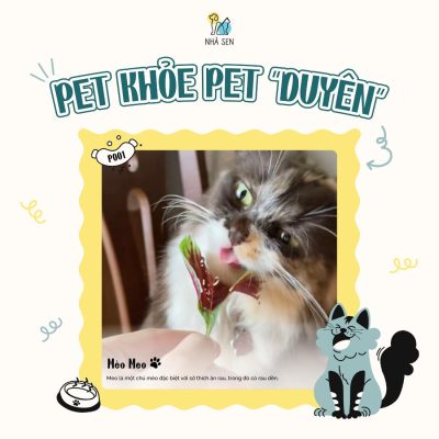 Pet khoe Pet duyen5