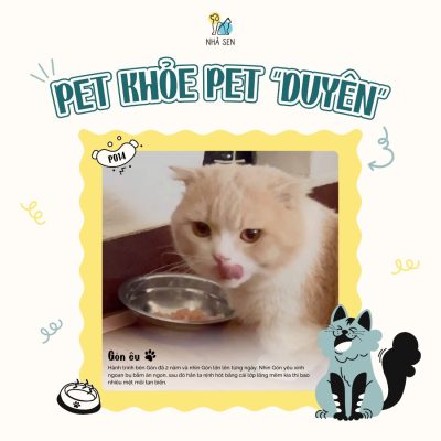 Pet khỏe, Pet duyên6