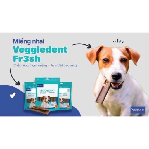 THANH NHAI LÀM SẠCH RĂNG CHO CÚN