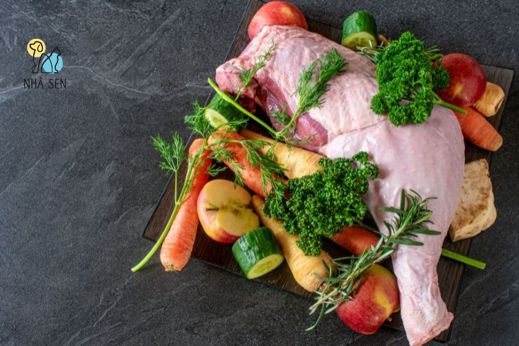 Chế độ ăn raw cho chó​ nhà sen