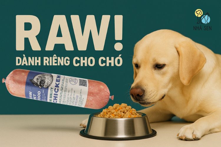 Chế độ ăn raw cho chó​