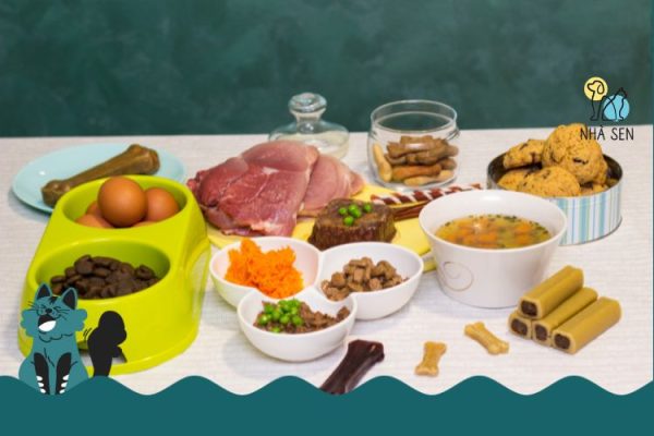 Thức Ăn Cho Chó Tươi Là Gì