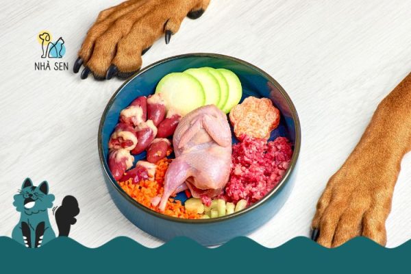 Thức Ăn Tươi Cho Chó Là Gì