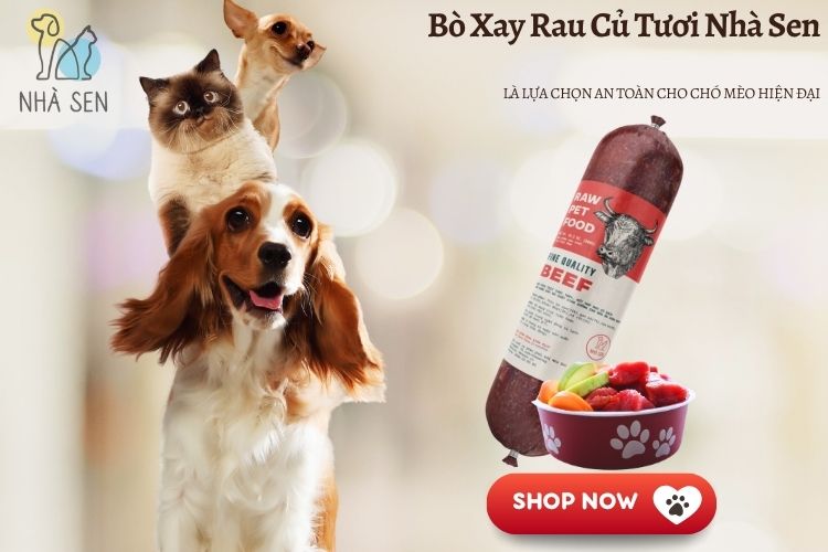 Bò Xay Rau Củ Tươi Nhà Sen