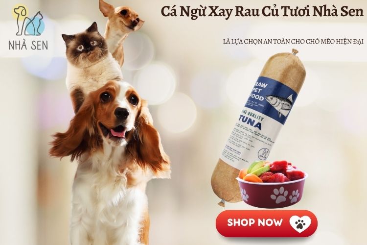 Cá Ngừ Xay Rau Củ Tươi Nhà Sen