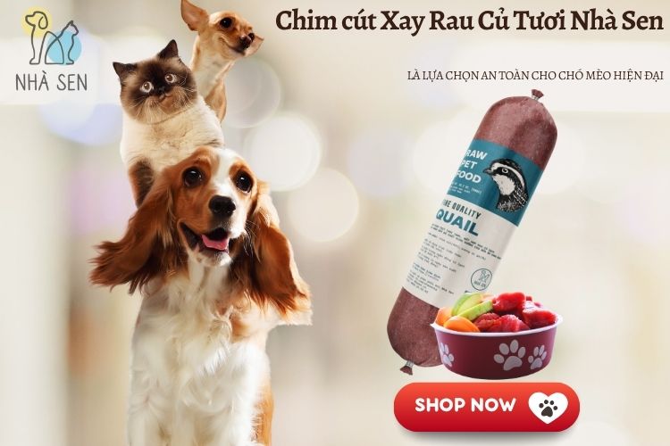 Chim cút Xay Rau Củ Tươi Nhà Sen