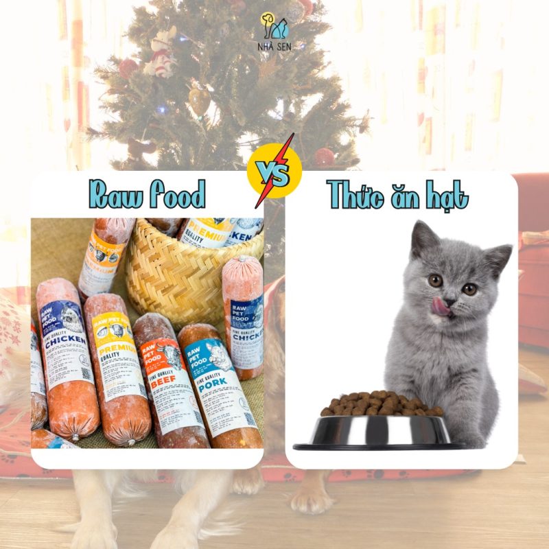 Chó ăn thức ăn tươi có khác gì với rawfood Thú cưng