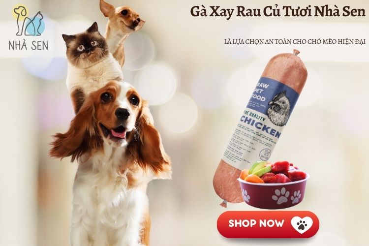 Gà Xay Rau Củ Tươi Nhà Sen