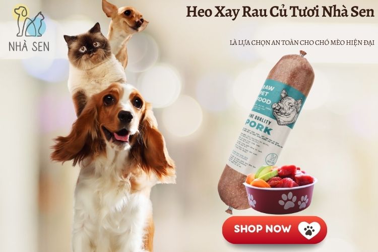 Heo Xay Rau Củ Tươi Nhà Sen
