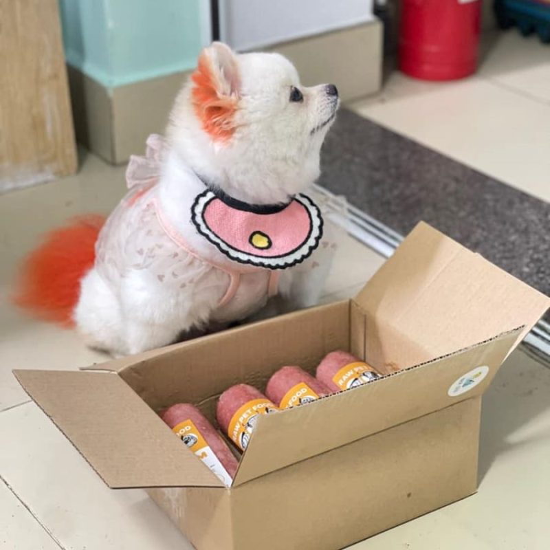 RAW FOOD thức ăn tươi cho chó mèo bé yêu