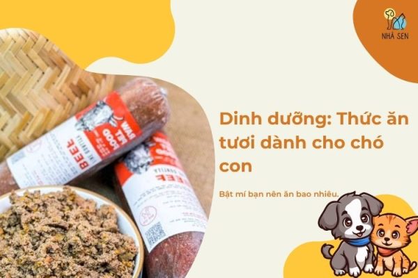 Thức ăn tươi dành cho chó con