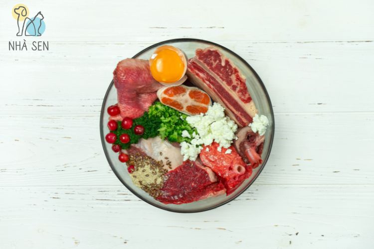 Thức ăn tươi dành cho chó là gì Nhà Sen