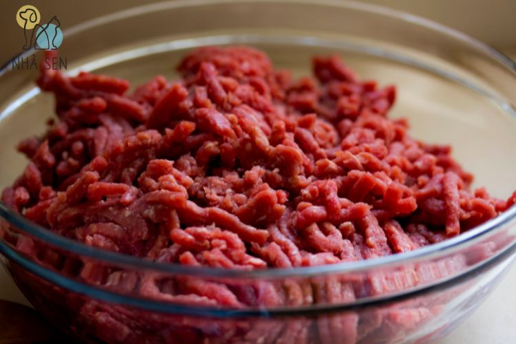 Thức ăn tươi dành cho chó là gì raw food