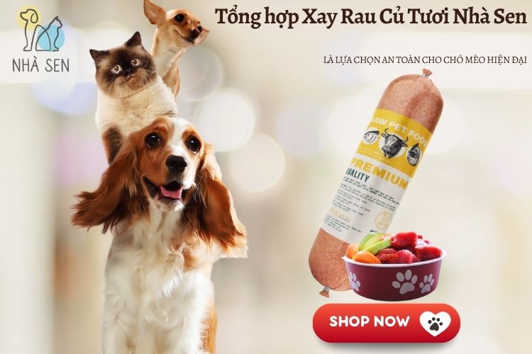 Tổng hợp Xay Rau Củ Tươi Nhà Sen