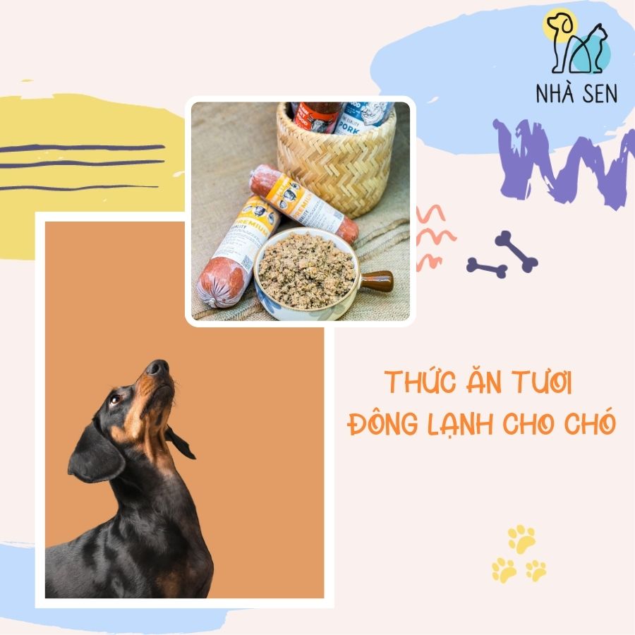 Chú chó háo hức nhìn giỏ thức ăn tươi đông lạnh, trong đó có nhiều xúc xích dinh dưỡng, món ăn an toàn và tiện lợi cho chó cưng mỗi ngày.