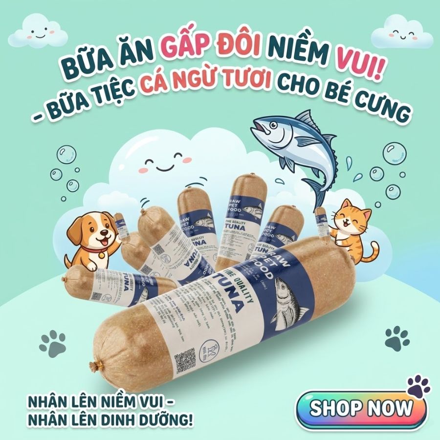 Chó gầy nên ăn gì để tăng cân với cá ngừ tươi giàu omega và đạm tự nhiên giúp tăng cân khỏe mạnh và hỗ trợ lông da bóng mượt. Công thức raw food cân bằng dinh dưỡng, phù hợp cho chó cần cải thiện cân nặng và tăng sức khỏe tổng thể.