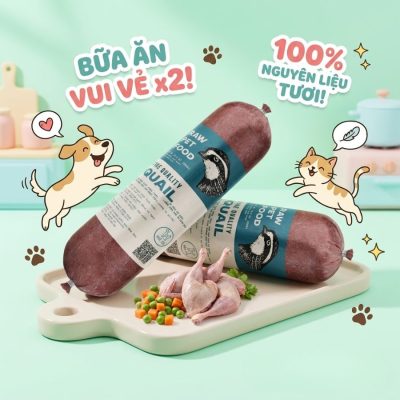 Chó gầy nên ăn gì để tăng cân với thịt chim cút giàu protein tự nhiên, dễ hấp thu và hỗ trợ tăng cân lành mạnh. Kết hợp rau củ tươi giúp bổ sung vitamin, hỗ trợ tiêu hóa và cải thiện thể trạng cho chó gầy hoặc kén ăn.
