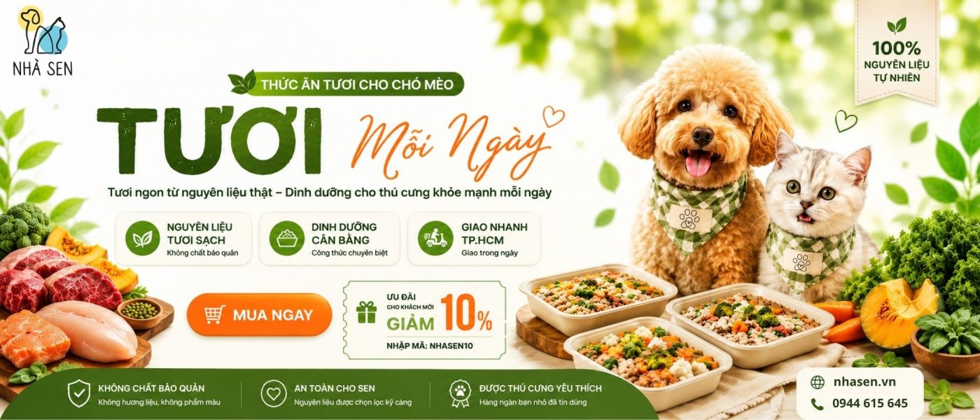 Bữa ăn Raw Food chuẩn mực với 100% nguyên liệu tươi sống được cấp đông chuyên sâu để tiêu diệt vi khuẩn mà vẫn giữ nguyên enzyme có lợi.