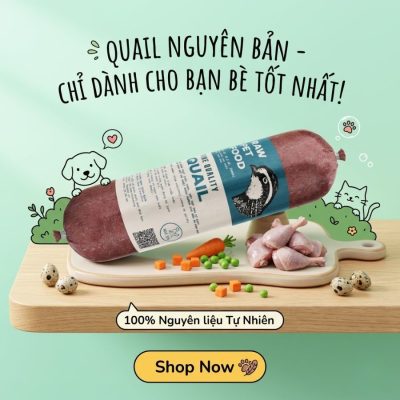 Chim Cút Xay Rau Củ RAW FOOD Cho Chó Mèo tăng cân hiệu quả từ thịt chim cút giàu đạm kết hợp rau củ tự nhiên, giúp bổ sung năng lượng và hỗ trợ phát triển cơ bắp khỏe mạnh. Công thức phù hợp cho chó gầy, kén ăn hoặc cần cải thiện thể trạng nhanh chóng.