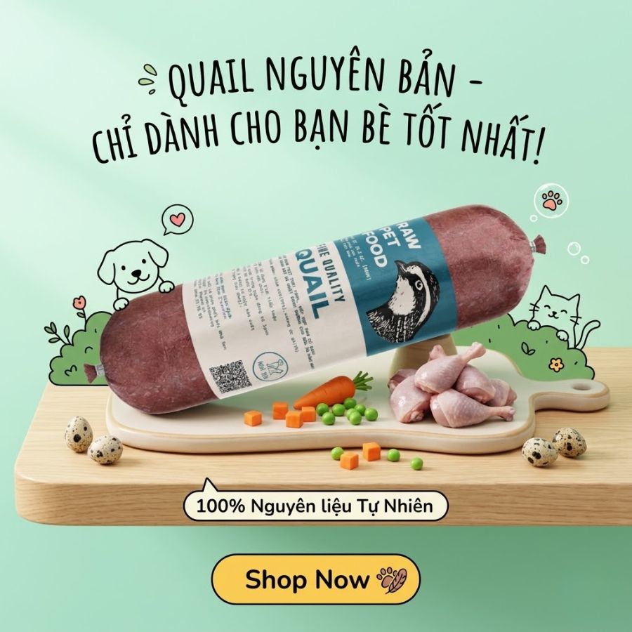 Thức ăn cho chó tăng cân hiệu quả từ thịt chim cút giàu đạm kết hợp rau củ tự nhiên, giúp bổ sung năng lượng và hỗ trợ phát triển cơ bắp khỏe mạnh. Công thức phù hợp cho chó gầy, kén ăn hoặc cần cải thiện thể trạng nhanh chóng.