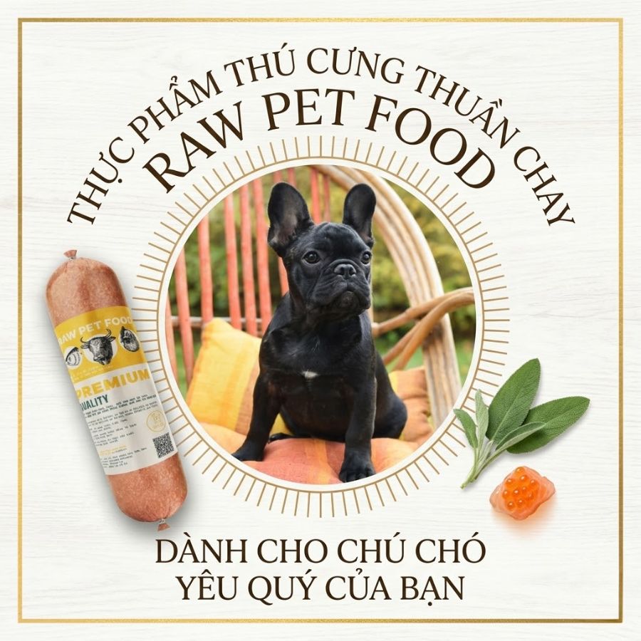 Thức Ăn RAW FOOD Cho Chó Mèo Mùa Hè với nguyên liệu tươi tự nhiên giúp thú cưng ăn ngon miệng, bổ sung dinh dưỡng và hỗ trợ tiêu hóa trong thời tiết nóng.