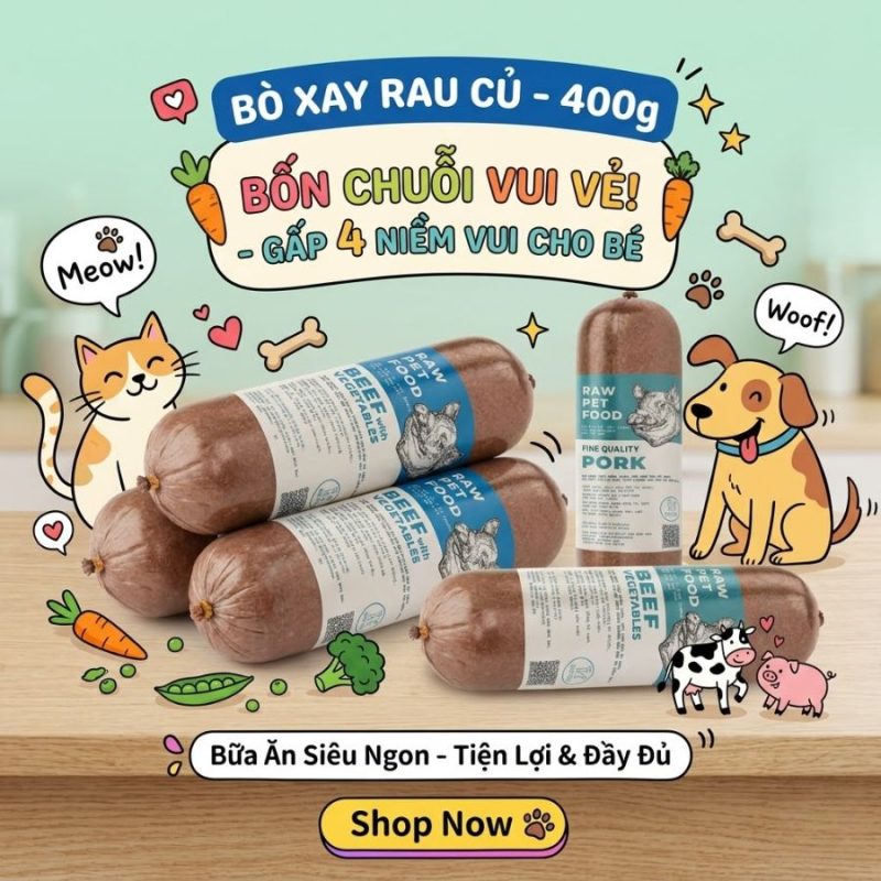 Thức ăn tươi cho chó giao tận nơi từ bò xay rau củ, tiện lợi, dễ bảo quản và hỗ trợ chó ăn ngon miệng hơn.