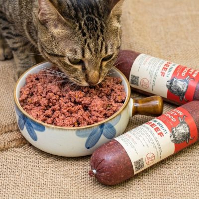 Top 5 Thực Đơn RAW FOOD với bò xay rau củ giàu protein, hỗ trợ phát triển cơ bắp và giúp chó mèo ăn ngon miệng hơn mỗi ngày.