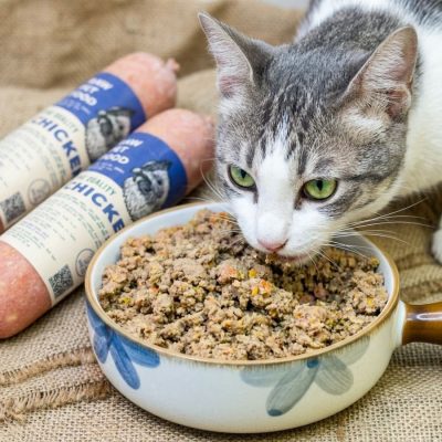 Ức Gà Xay Rau Củ RAW FOOD Cho Chó Mèo Top 5 Thực Đơn RAW FOOD từ thịt gà và rau củ tự nhiên, dễ tiêu hóa, phù hợp cho chó mèo ăn hằng ngày và hỗ trợ hấp thu dinh dưỡng tốt hơn.
