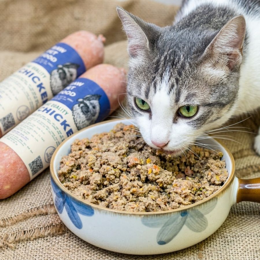 Top 5 Thực Đơn RAW FOOD Tiết Kiệm Cho Boss Nhà Bạn Top 5 Thực Đơn RAW FOOD từ thịt gà và rau củ tự nhiên, dễ tiêu hóa, phù hợp cho chó mèo ăn hằng ngày và hỗ trợ hấp thu dinh dưỡng tốt hơn.
