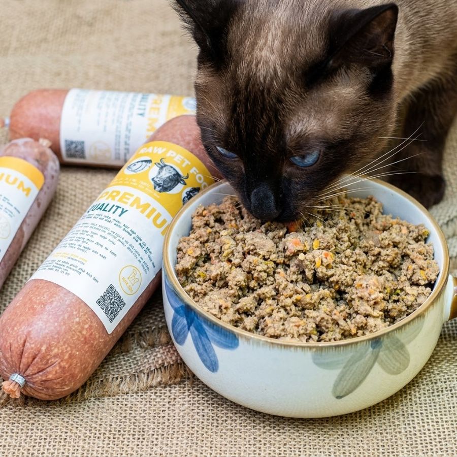 Top 5 Thực Đơn RAW FOOD Tiết Kiệm Cho Boss Nhà Bạn Top 5 Thực Đơn RAW FOOD với công thức premium kết hợp nhiều nguồn dinh dưỡng tự nhiên, hỗ trợ tiêu hóa và bổ sung năng lượng hiệu quả.
