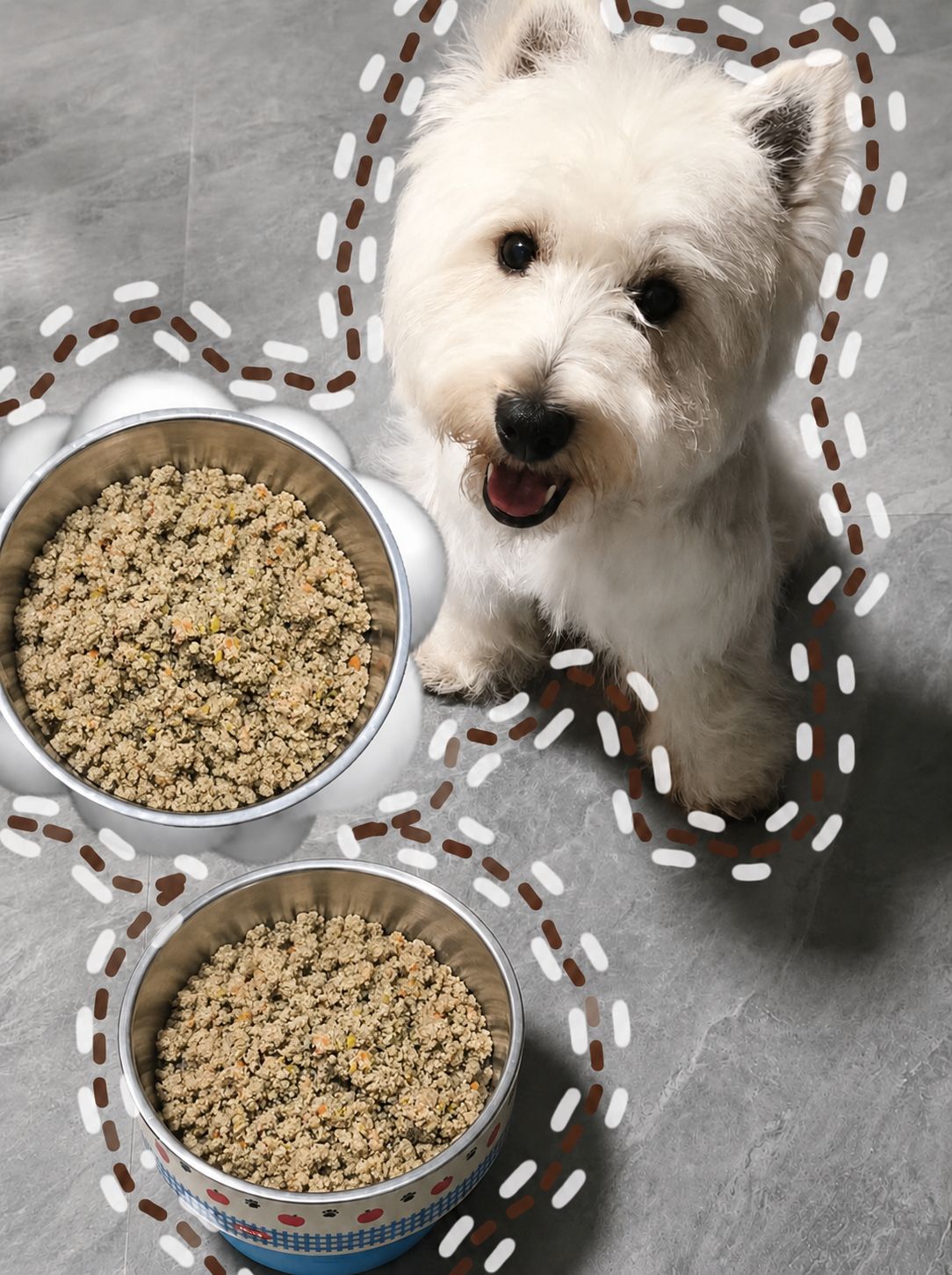Giới thiệu RAW FOOD là gì? So sánh với thức ăn khô/hạt. Giới thiệu RAW FOOD là gì qua bữa ăn tươi giàu thịt và rau củ, giúp chó ăn ngon hơn, hấp thu dinh dưỡng hiệu quả và duy trì sức khỏe toàn diện.